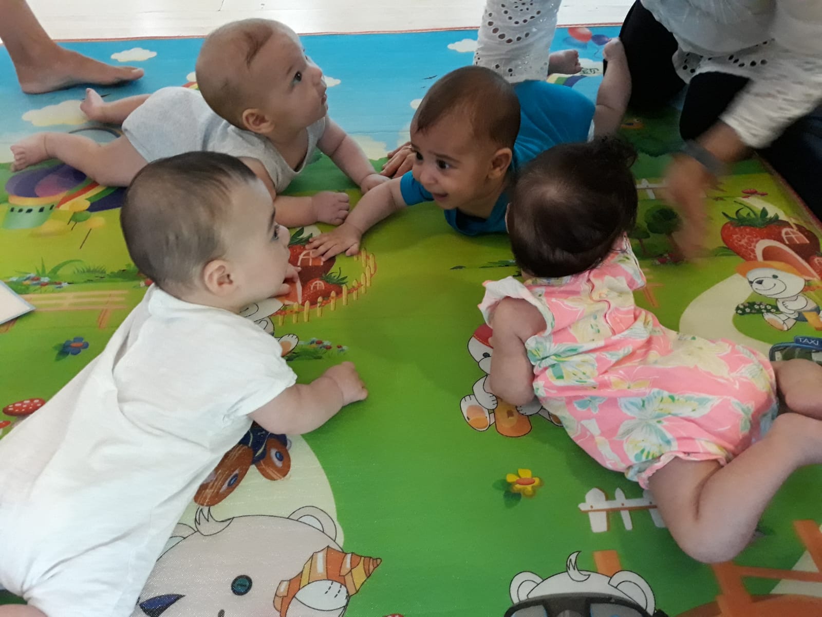 תינוק בן ארבעה חודשים בסדנה